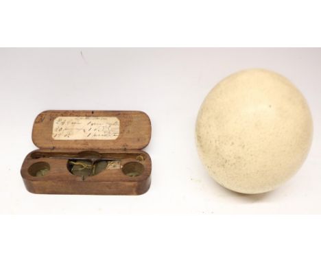 Ostrich egg, H15cm and 19th Century pair of cased hanging apothecary/sovereign scales, L15.5cm
