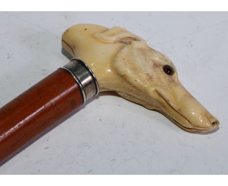 A 19th century novelty ivory walking stick handle, well-carved as the head of a greyhound, silver-mounted tapering malacca ca