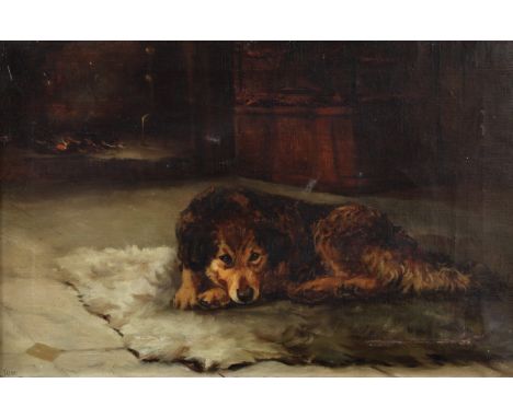 English School (late 19th/20th century)Portrait of a Dog, Junotitled, oil on canvas, 35cm x 52cm 