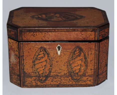 A George III satinwood and marquetry canted rectangular tea caddy, inlaid with navette shaped shell paterae, hinged cover enc