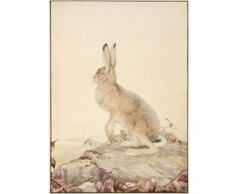 Detmold (Edward, illustrator). The Fables of Aesop, London: Hodder &amp; Stoughton, 1909, 25 tipped-in colour plates, endpape
