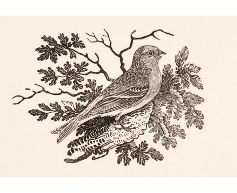 * Bewick (Thomas, 1753-1828). Three Dogs (The Bulldog, The Small Water Spaniel and A Terrier), 3 wood engravings printed on o