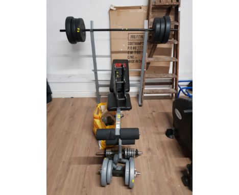 A WEIGHT BENCH WITH ASSORTED WEIGHTS