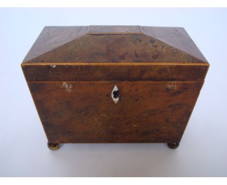 A Regency burr yew and satinwood strung sarcophagus tea caddy, the hinged lid opening to reveal a two division interior, on g