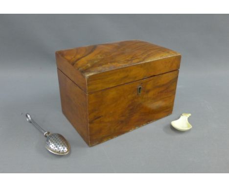 Mahogany tea caddy with a thistle spoon and a tea strainer, (a lot) 