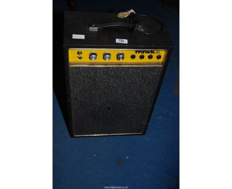 A 'Hawk' amplifier.