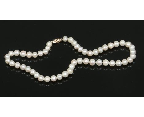 A pearl necklace with 14 carat gold clasp. Pearls approximately 15 metric grains, 43cm. Condition Report. To be used as a gui