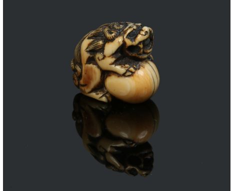 A Japanese Edo period carved ivory netsuke, Formed as a lion dog guarding a pearl, 3cm. Condition Report. To be used as a gui