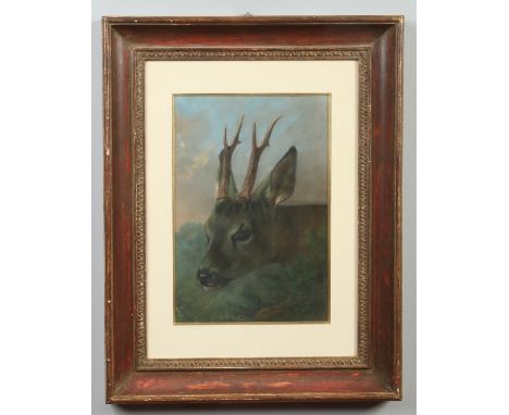 A framed pastel head portrait of a roe deer, 38cm x 26cm.