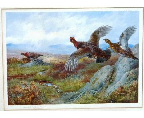 Archibald Thorburn (British, 1860-1935) Grouse over the Moor and Summer Partridge and Chicks a pair of prints in colours, pub