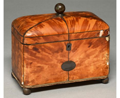 A Regency tortoiseshell tea caddy, c1820, the lid in blond shell, wire stringing, brass escutcheon, knop and feet, divided in