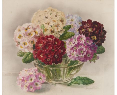 Winifred Walker (1882-1966) - Phlox in a Glass Bowl, signed, watercolour, 41 x 49cm Generally good condition with one or two 