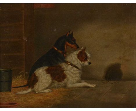 Follower of George Armfield,Two dogs ratting,indistinctly signed, oil on canvas,24x30cm.Condition report:There is a small pat