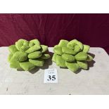 GREEN PHILOSOPHY SUCCULENT THROW PILLOWS