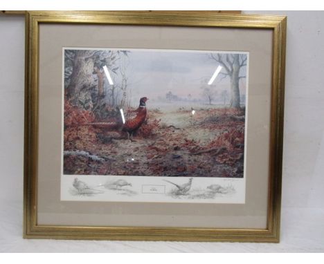After Carl Donner print of a pheasant with pencil drawings of pheasants at the bottom and a pencil signature bottom right cor