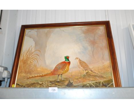K Curtis, framed study of a pheasant