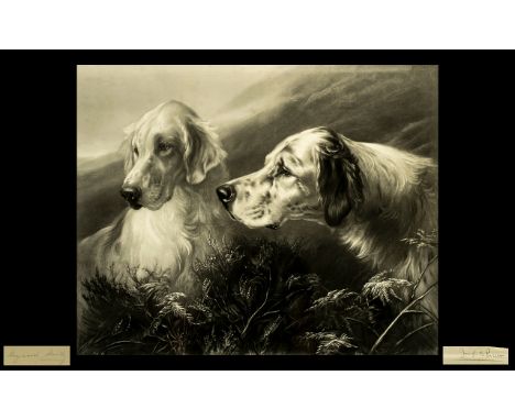 Heywood Hardy Pencil Signed Etching, Depicting Two Hunting Dogs, in fine detailing. Blind stamp (XST), published by Thomas Ag