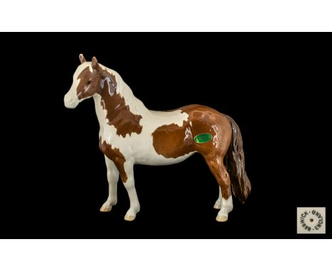 Beswick Hand Painted Horse Figure ' Pinto Pony ' Skewbald. Model No 1373. Designer A. Gredington. Issued 1955 -. Height 6.5 I