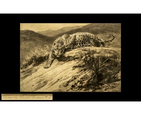 Herbert Dicksee Print (HD 1914) Depicting a Leopard on a grassy outcrop.  Titled 'Stealth' (with blind stamp).  Published by 