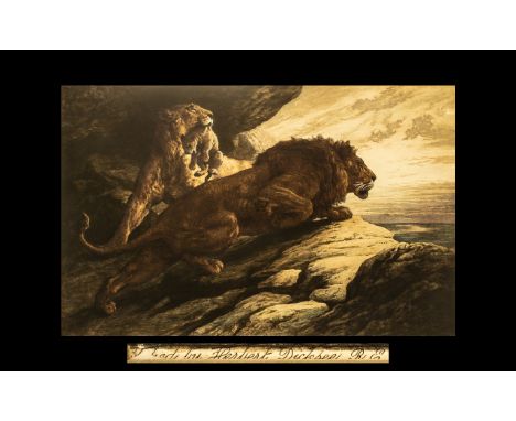 Herbert Dicksee Hand Coloured Etching of a Pair of Lions with a Cub In a Mountainous Setting, Published by Frost and Reed, Lo