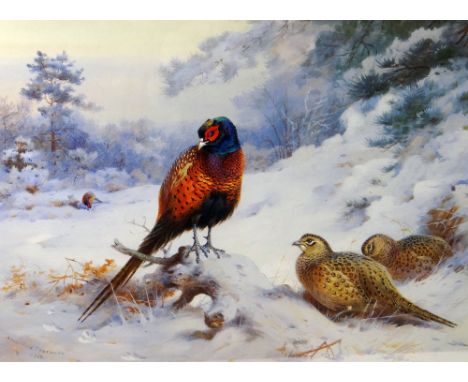 ARCHIBALD THORBURN limited edition (109/850) print - pheasants in the snow, 27 x 38cms