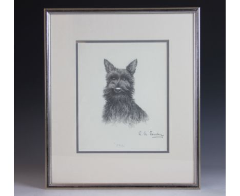 R. A. Riseley,
pencil sketch,
Scottish Terrier, 'Jill',
signed and titled,
28cm x 22.5cm - framed and glazed