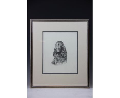 R. A. Riseley,
pencil sketch,
'Susan', a spaniel and another of a flat coat retriever,
only the former signed,
27.5cm x 22.5c