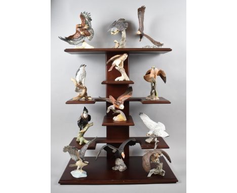 A Modern Mahogany Stand Containing Twelve Ceramic Models of Birds of Prey, Stand 46cm Wide 