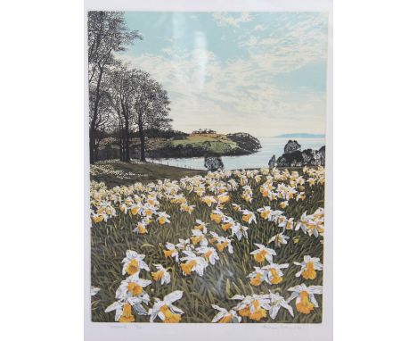 Graham Everden,
pair of limited edition colour prints,
Field of daffodils and field of primroses with landscape beyond,
signe