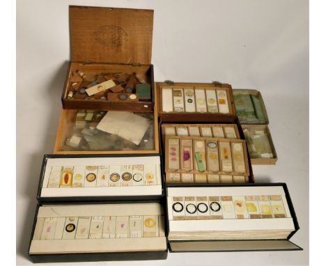 A substantial collection of Microscope slides, including biology and medical slides