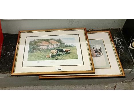 David Shepherd "The Orphans" signed print along with a David Shepherd "After his shampoo" signed print