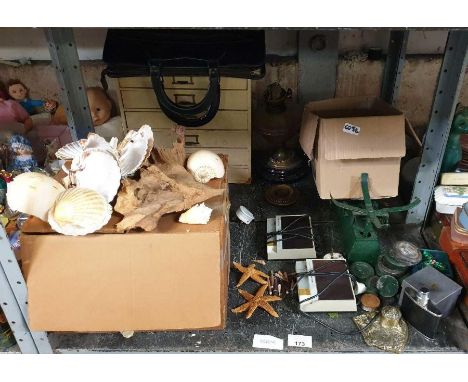 Various seashell, starfish, set of vintage scales, multi drawer cabinet &amp; other items