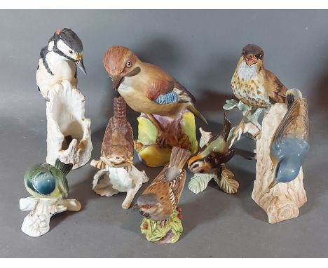 A Royal Worcester model of a Jay, together with five Goebel models of birds and two other models of birds 