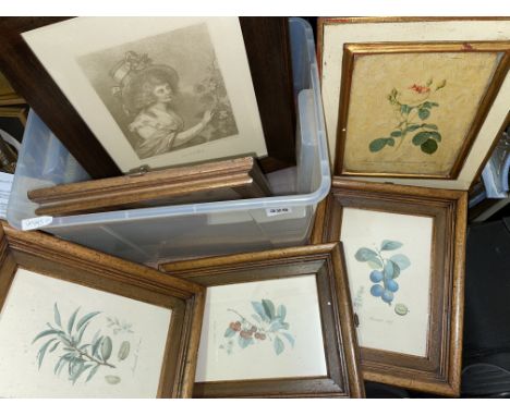 SERIES OF FOUR PRINTS OF ENGRAVINGS OF THE SEASONS, ALONG WITH A SET OF BOTANICAL PRINTS