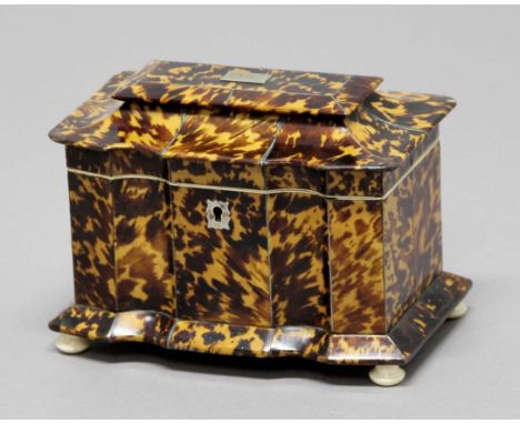 GEORGE III TORTOISESHELL TEA CADDY,  of sarcophagus form with serpentine front enclosing a twin canister interior, on turned 