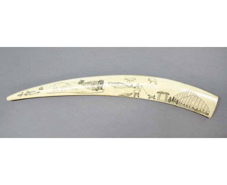 INUIT ART:  walrus tusk, circa 1900, carved with a hunting scene, figures and caribou, the reverse with polar bear, walrus, h