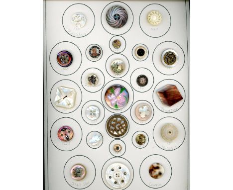 25 S/M/L 19th and 20th century pearl and shell buttons. Here is a nice card of shell including cowrie, green snail and ocean 