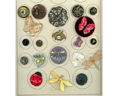 20 S/M/L 19th-20th century assorted materials including. This nice partial card includes a variety of insects including butte