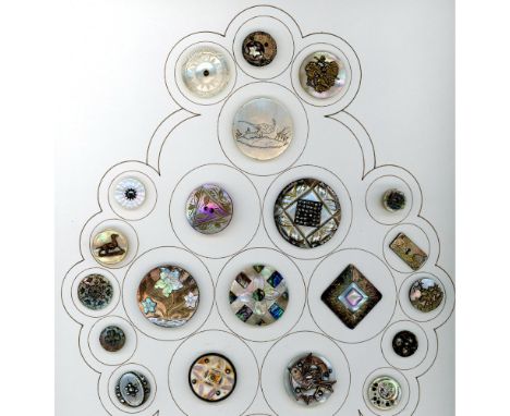 21 S/M/L 19th century shell including pictorials and cowrie shell. Here is a partial card from the collection of the late Shi