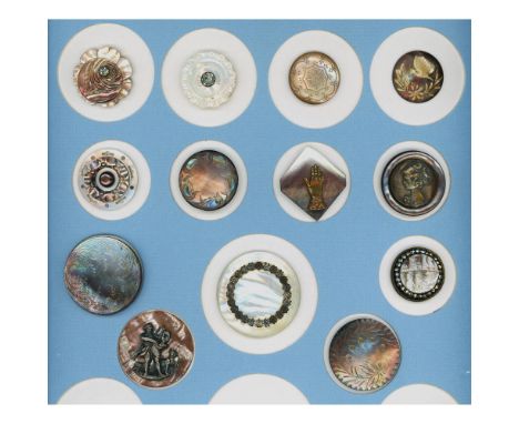 13 Medium/Large 19th century shell including 18th century. Here is a partial card from the collection of the late Shirley Cas