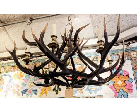 SCOTTISH RED DEER CHANDELIER, six branch, contemporary, 60cm drop approx. 