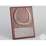 Shoe worn by the racehorse Iktimal.