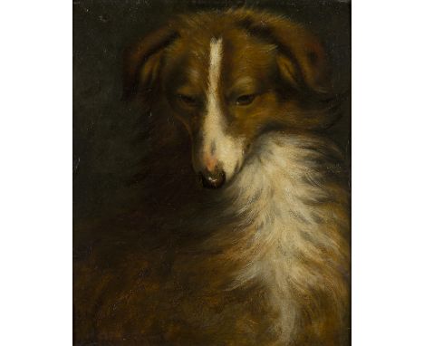 Henry Bewick Emmerson,  British 1861-1897- Portrait of a Collie; oil on board, signed and dated 'H Bewick Emmerson / 1883' (l