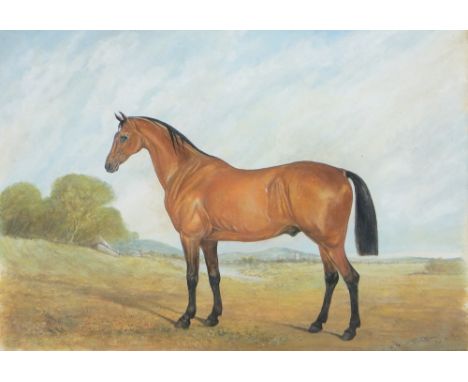 J Perneley,
watercolour, portrait of a horse, signed and dated 1884, 8" x 12", framed.