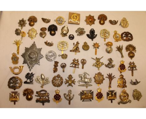 A selection of various military cap badges including Welsh Guards, Royal Leicestershire Regiment, HAC, Grenadier Guards, Worc
