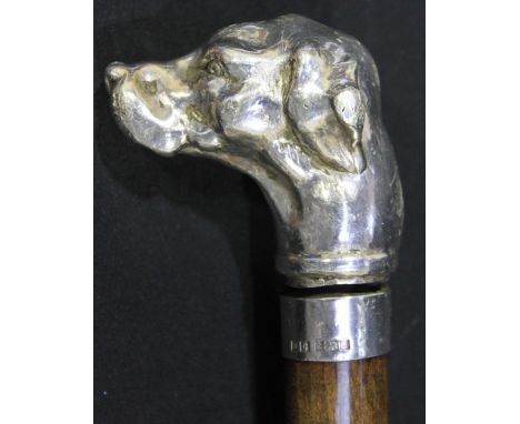 A walking stick with silver collar and white metal cast head of a Pointer dog.