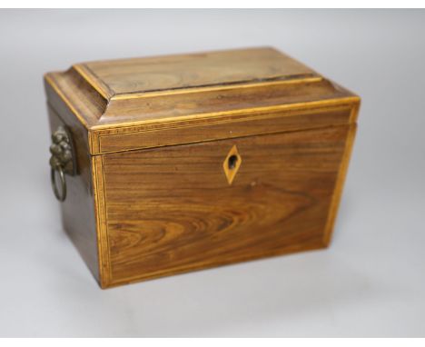 A Regency kingwood? tea caddy, length 20cm