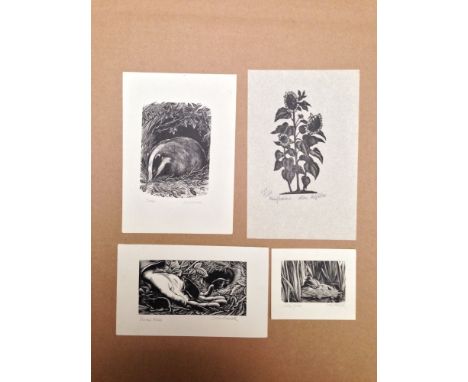 A mixed collection of loose and mounted prints, to include three small animal subject wood engravings by Joan Hassall, signed
