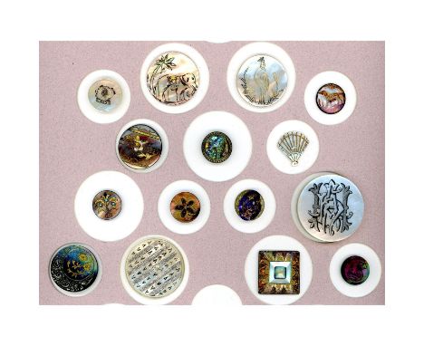 15 S/M/L 19th century shell including pictorials. Here is a partial card from the collection of the late Shirley Case of Miss