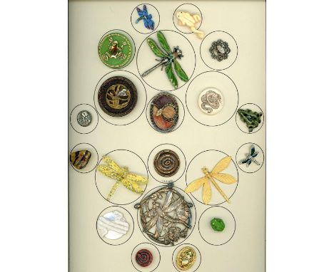 20 S/M/L 19th-20th C. assorted animals including dragonflies,This nice card includes several snakes, frogs and Dragonflies, o